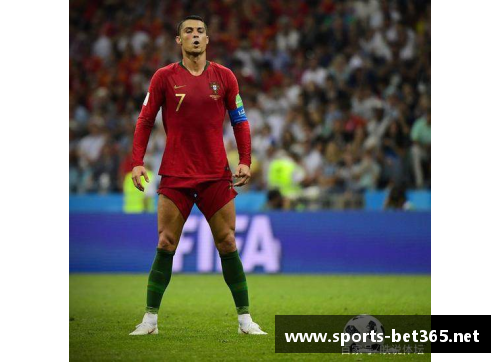 梅萨球员：力量、技艺与领导力