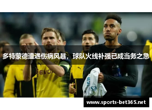 多特蒙德遭遇伤病风暴，球队火线补强已成当务之急